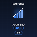 Audit SEO Basic