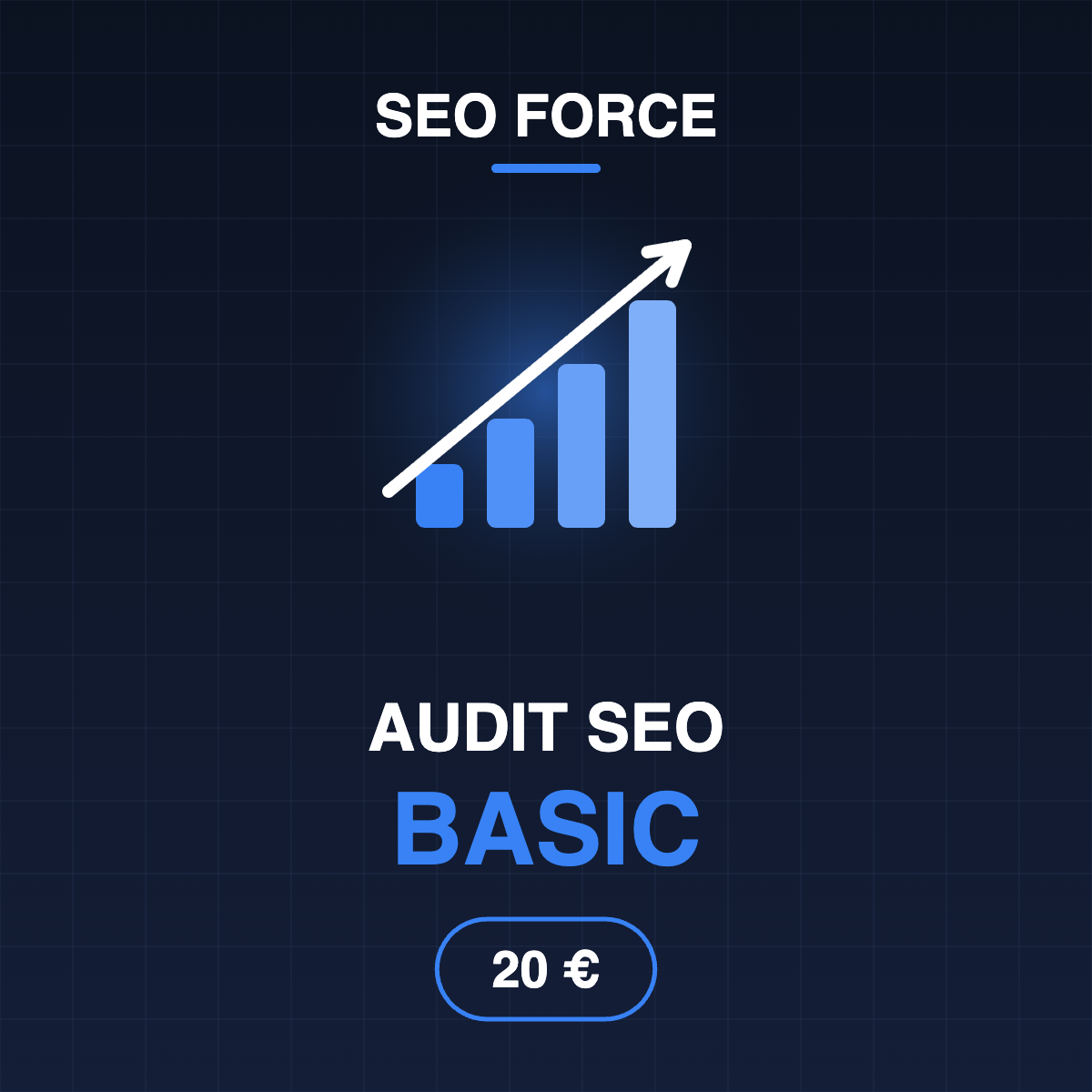 Audit SEO Basic