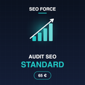 Audit SEO Standard
