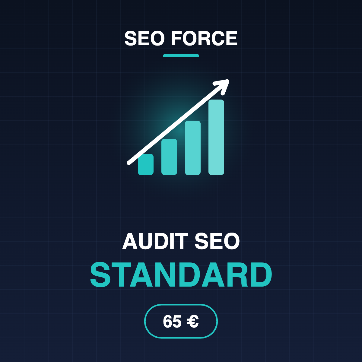 Audit SEO Standard
